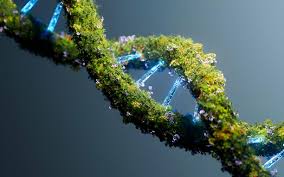 Hijau dan Kuat: Strategi Gearbox Manufacturers Memenuhi Tuntutan Industri Berkelanjutan 2025